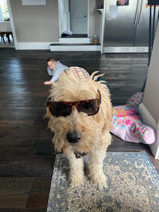 Meet your Posher, Scarlett